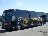 Hélie 127 - Les Tigres de Victoriaville - previous scheme