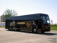 Hélie 127 - Les Tigres de Victoriaville - previous scheme